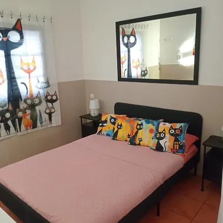 Casita De Gatas Olia * 普拉亚戴尔雷安格莱斯