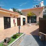 Casita De Gatas Olia