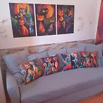 Casita De Gatas Olia
