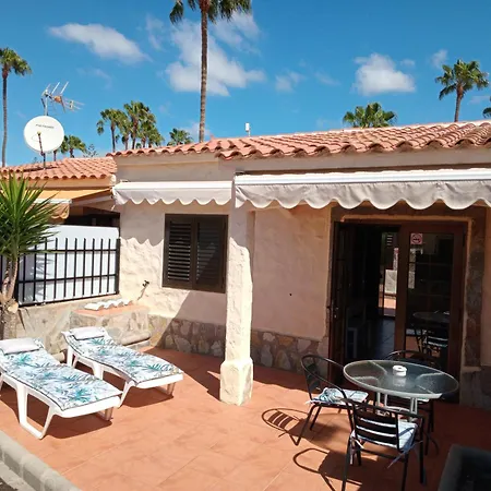 Casita De Gatas Olia