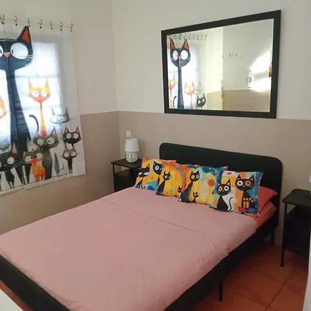 Casita De Gatas Olia * Playa del Ingles (Gran Canaria)