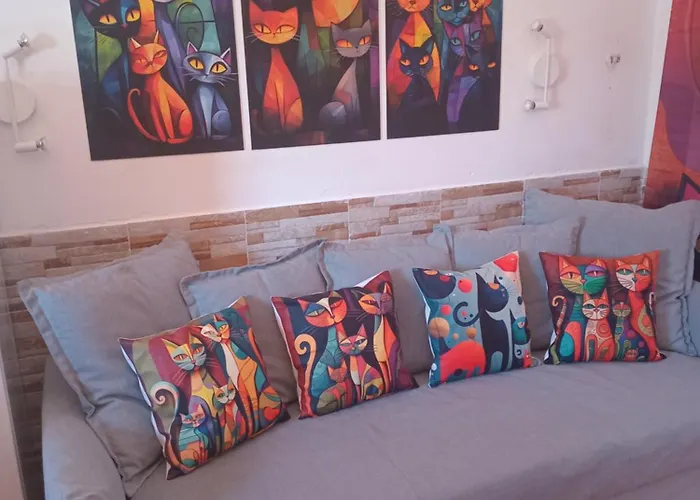 Casita De Gatas Olia