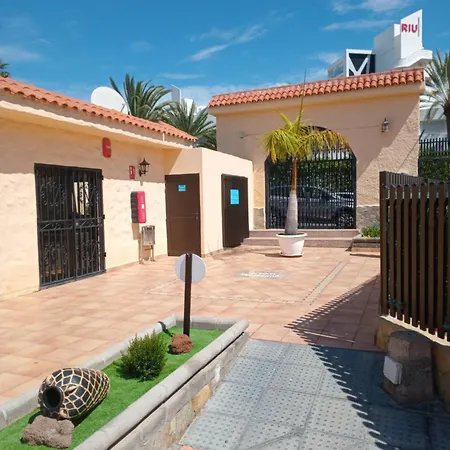 Casita De Gatas Olia