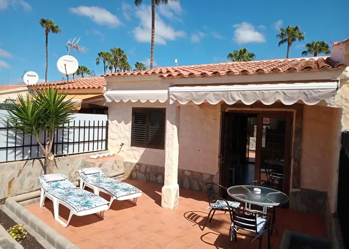 Casita De Gatas Olia