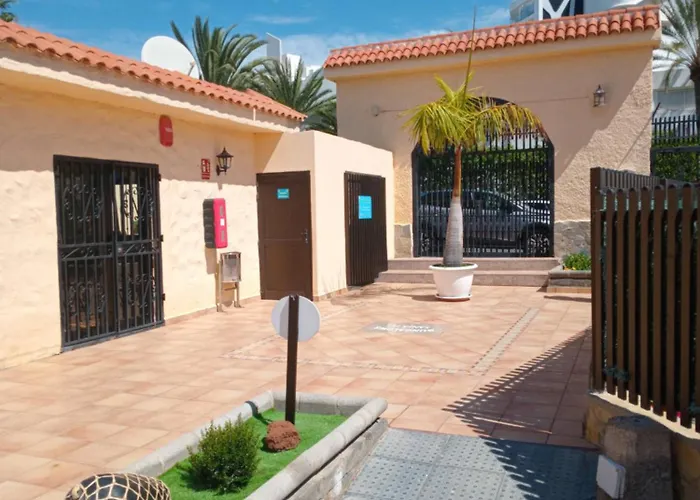 Casita De Gatas Olia